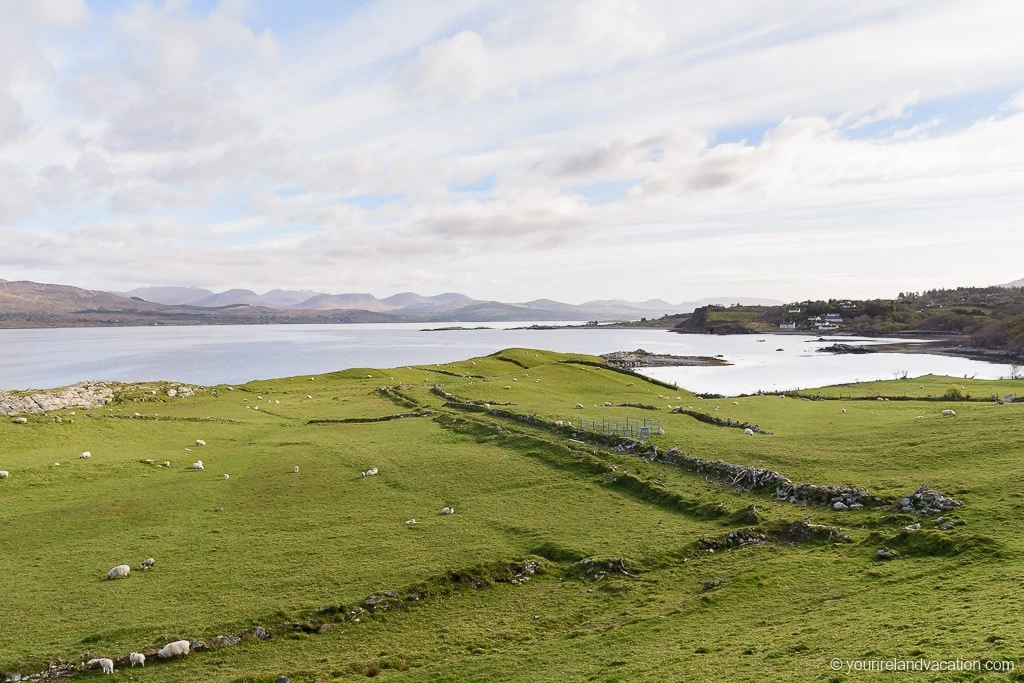 Ring of Beara