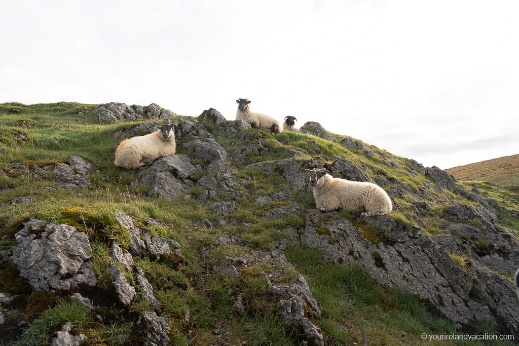 Stairway to Heaven Ireland