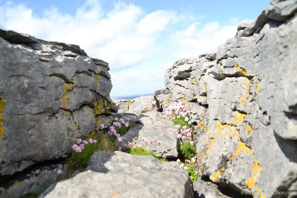 Things to do in Doolin