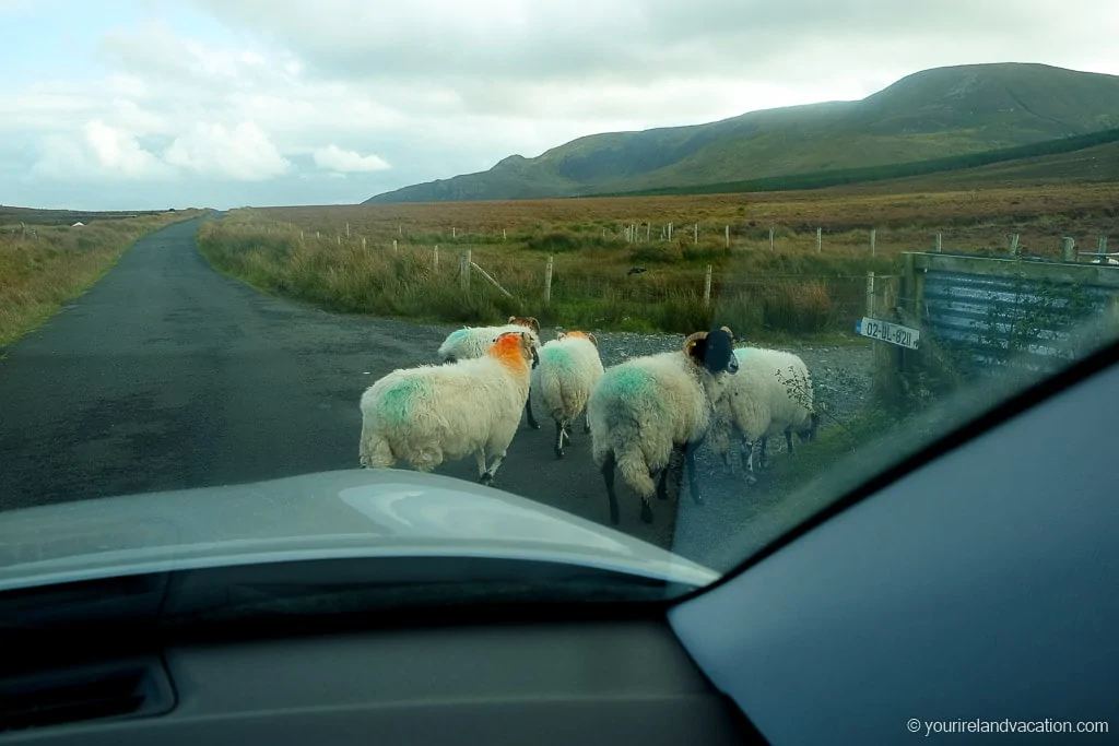 Renting a Car in Ireland