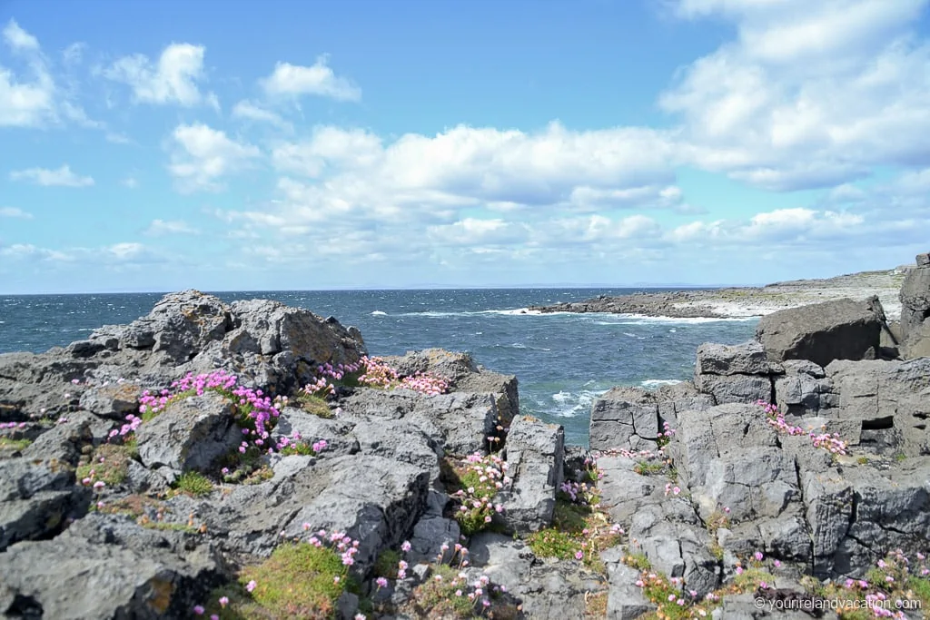 Best Cliffs of Moher Tours