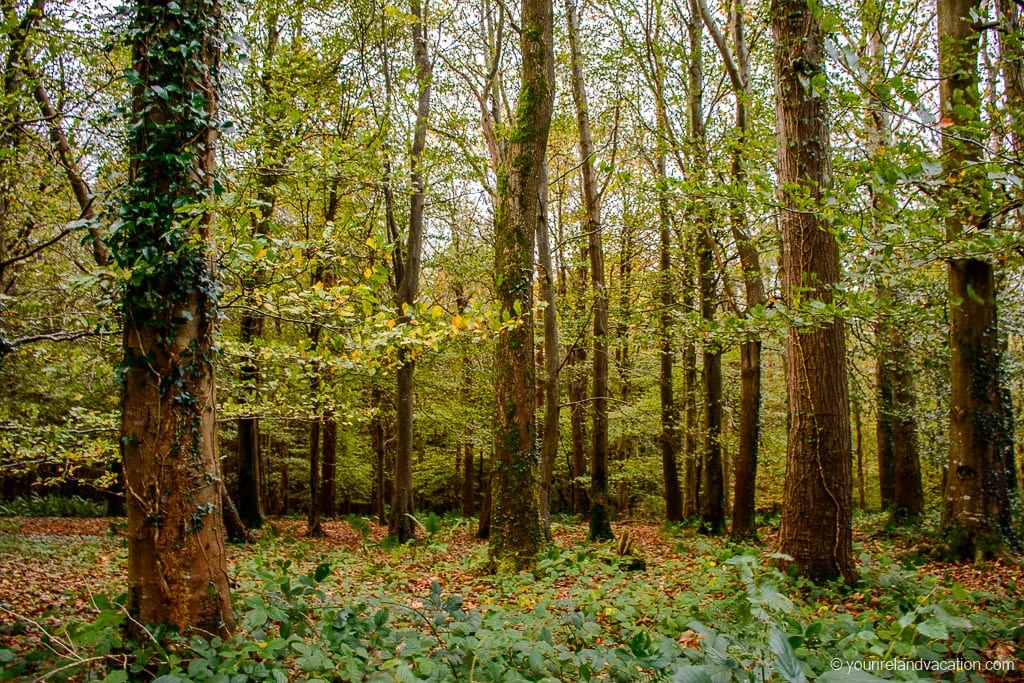 Game of Thrones Filming Locations Ireland